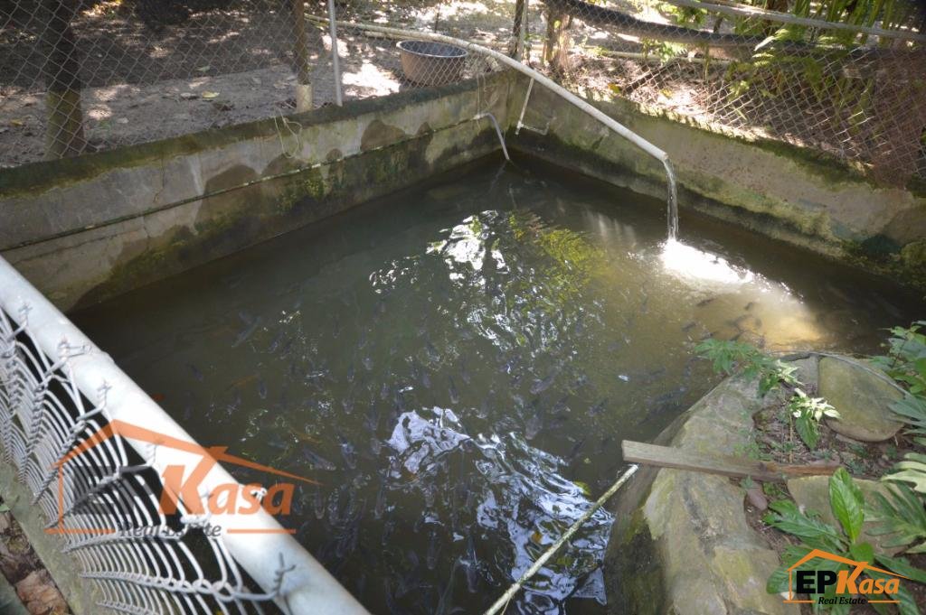 Casa de venta con mucho terreno en Gurabo, Santiago