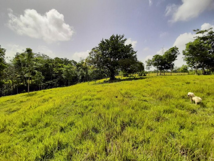 Finca de venta en Los Palmaritos, Rio San Juan.